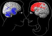 From Sex Differences In Neuroscience To A Neuroscience Of Sex